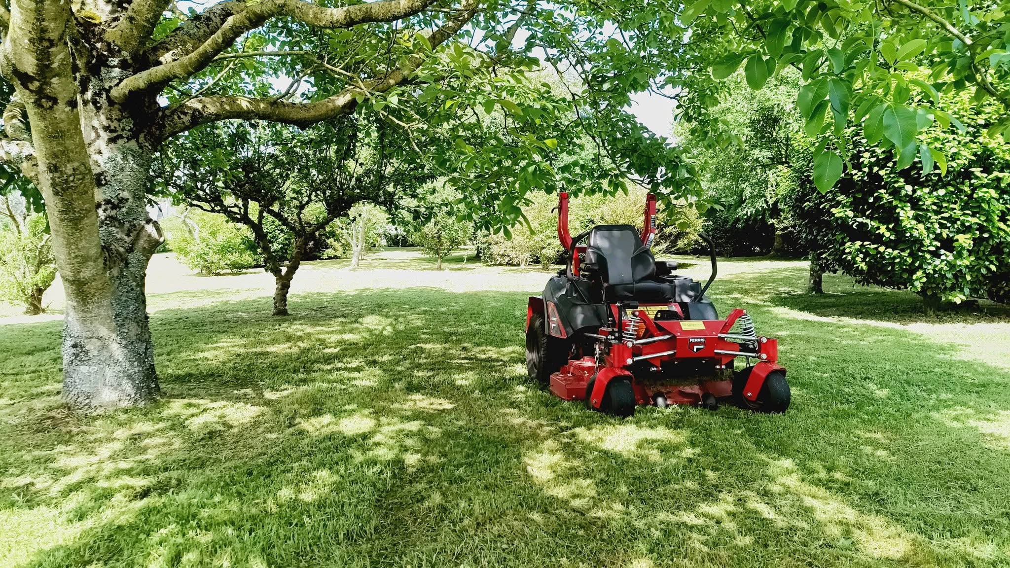 Élagage et abattage d'arbres à Quimper et alentours par ARBORIA
